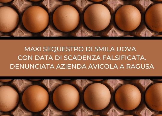 MAXI SEQUESTRO DI 5MILA UOVA OK.jpg